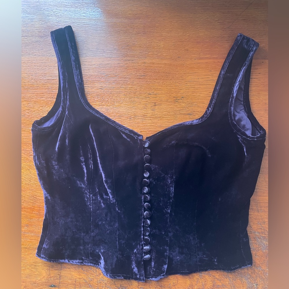 Corrine Sarrut Cropped Velvet Bustier - Picture 2 of 16